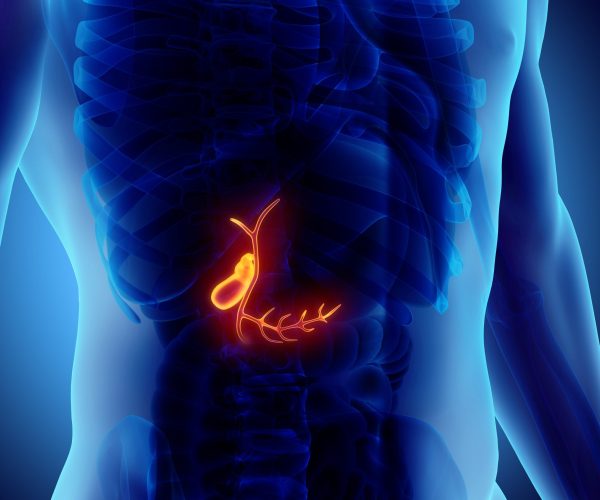 3D illustration of male Gallbladder, x-ray medical concept.