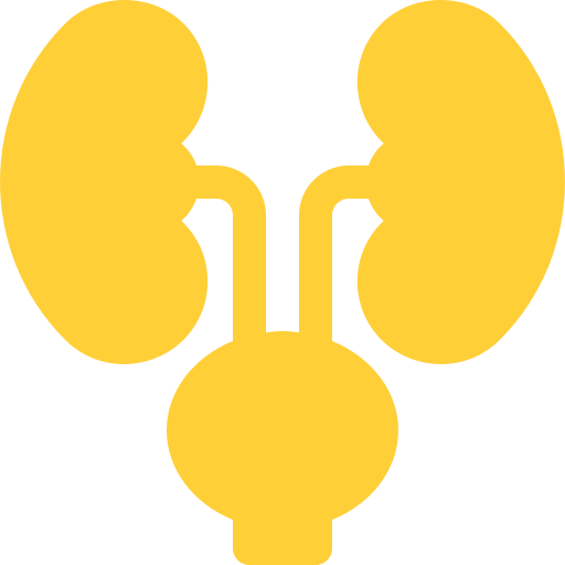kidneys