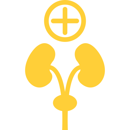 plus-sign-and-human-organs