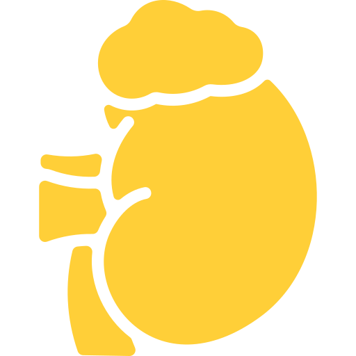 adrenal-gland