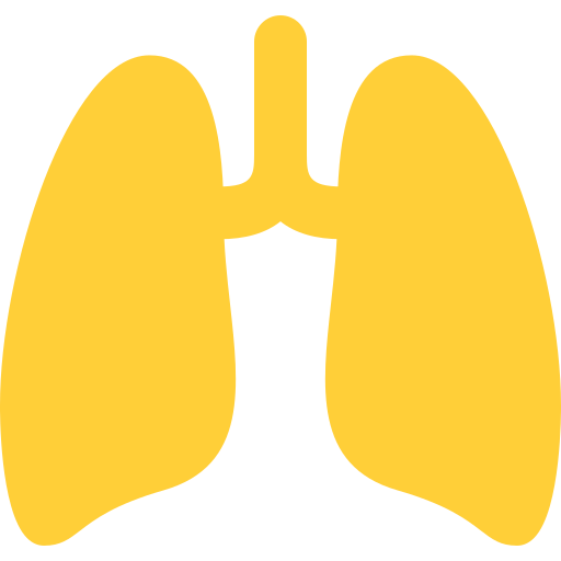 lungs