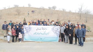 پویش درختکار هلدینگ بیمارستانهای نیکان پارک جنگلی چیتگر