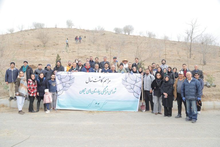 پویش درختکار هلدینگ بیمارستانهای نیکان پارک جنگلی چیتگر