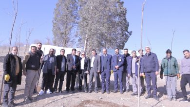 مشارکت بیمارستان نیکان با شهرداری منطقه ۲۲ در احیای پارک جنگلی چیتگر