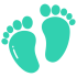 feet (1)