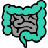 intestine (1) (1)